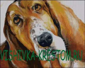 Набор вышивки крестом Бассет 