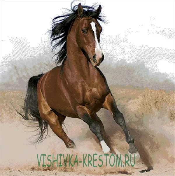 Вышивка крестом Арабский скакун