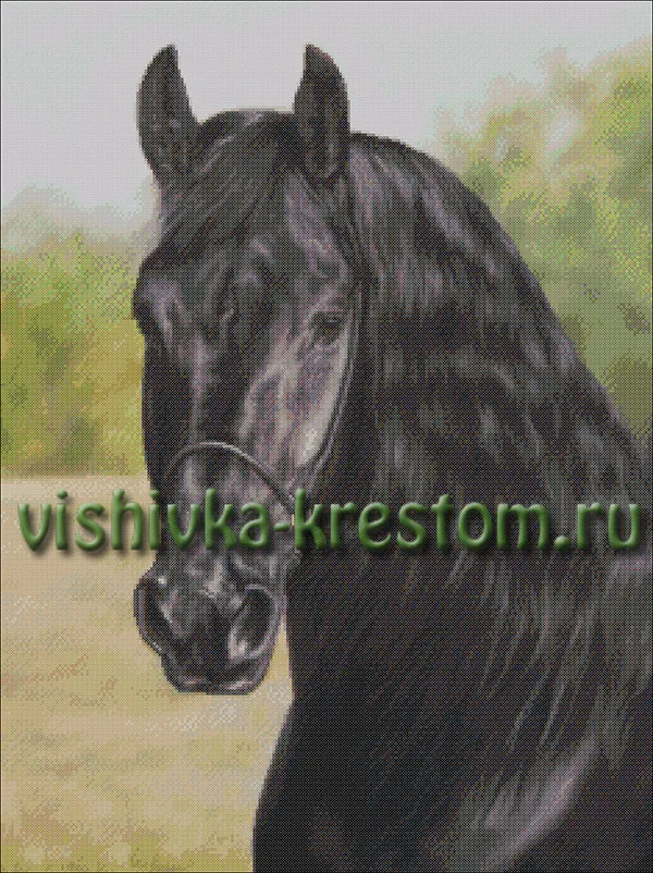 Вышивка крестом Черныш 