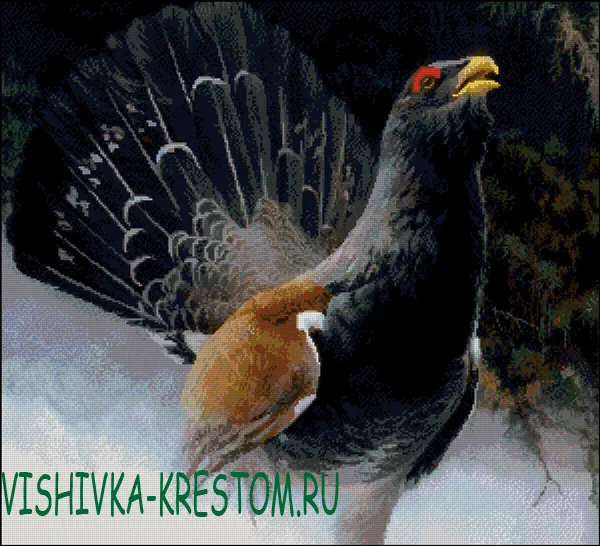 Вышивка крестом Глухарь 