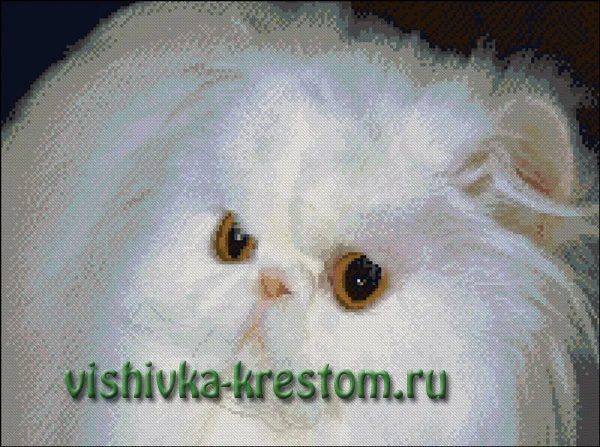 Вышивка крестом Белая кошка 