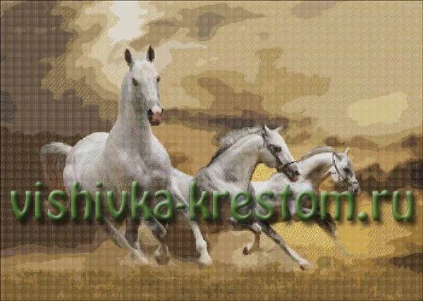Вышивка крестом Кони белые