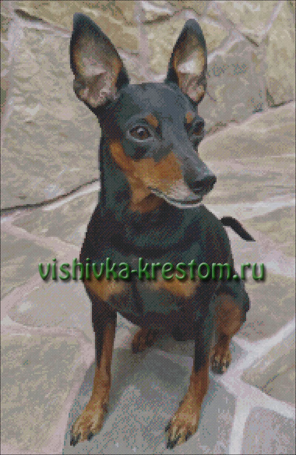 Вышивка крестом Цверг